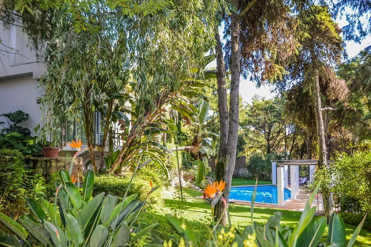 Casa Vela Boutique House Hotel Cascais